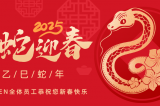 辭舊迎新，蛇舞華章丨深圳容金科技全體員工祝您新春快樂！